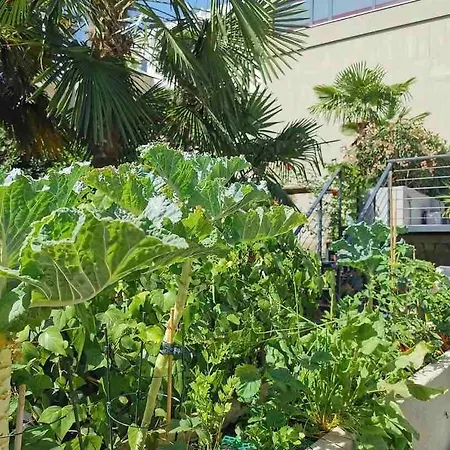 Loft Rooftop Garden By The Artspace Apartment