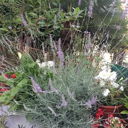 Loft Rooftop Garden By The Artspace Apartment