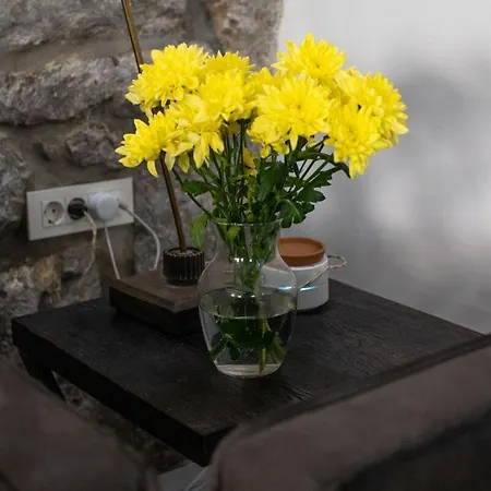 Apartment Loft Rooftop Garden By The Artspace