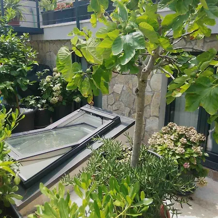 Apartment Loft Rooftop Garden By The Artspace